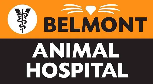 Belmont Animal Hospital of Chicago Picture 10