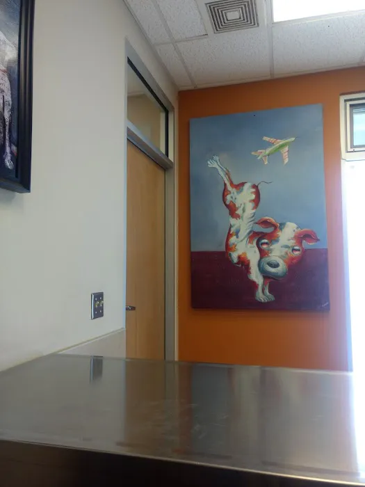 East El Paso Animal Hospital Picture 10
