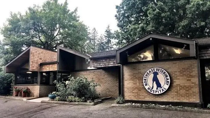 Northeast Veterinary Hospital Picture 2