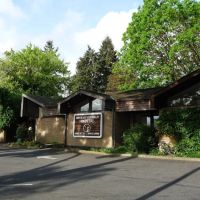 Northeast Veterinary Hospital ico