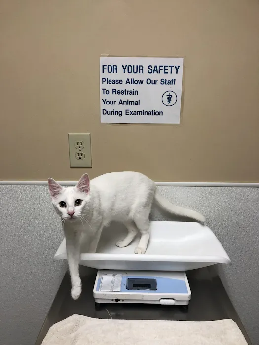 VCA Crown Hill Animal Hospital Picture 2