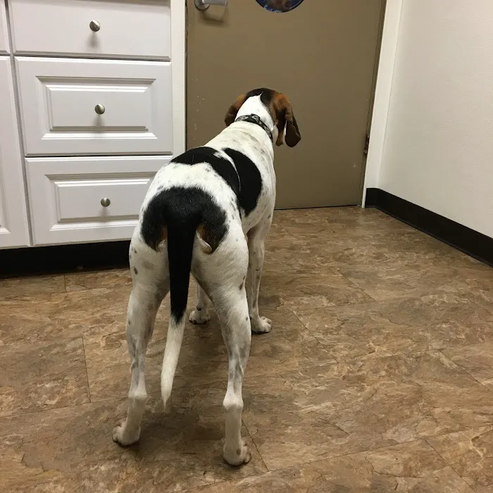 VCA Crown Hill Animal Hospital Picture 8