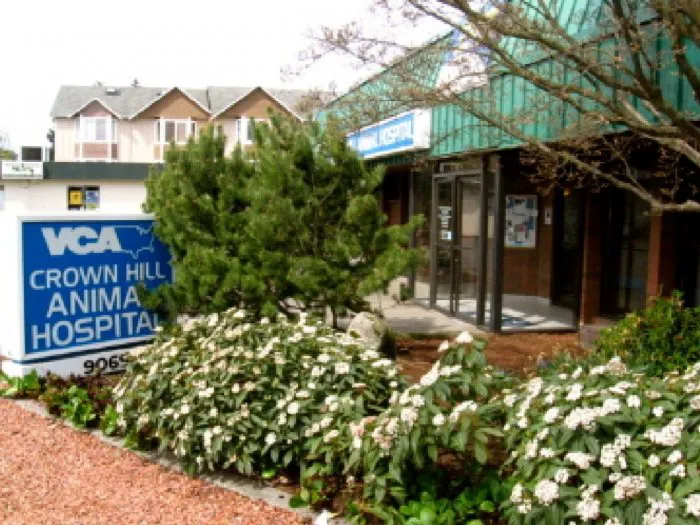 VCA Crown Hill Animal Hospital Picture 6