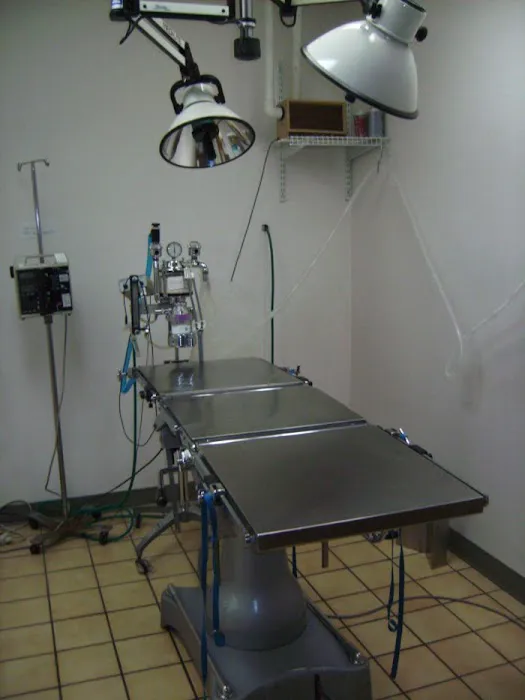 VCA Crown Hill Animal Hospital Picture 10
