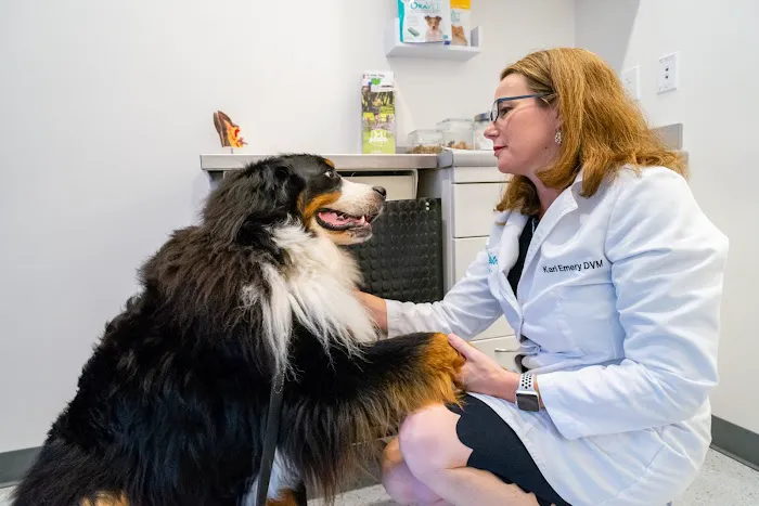 Seatown Veterinary Care Picture 5