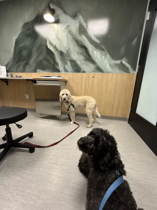 Phinney Veterinary Picture 4