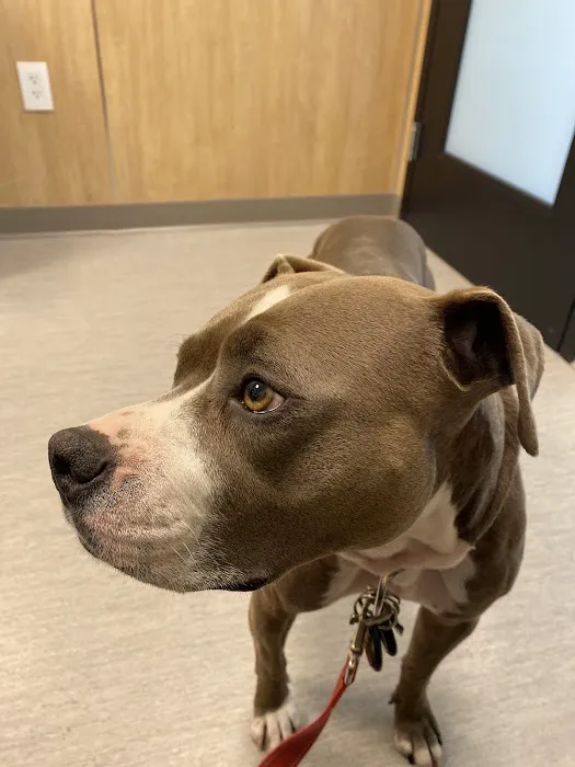 Phinney Veterinary Picture 6