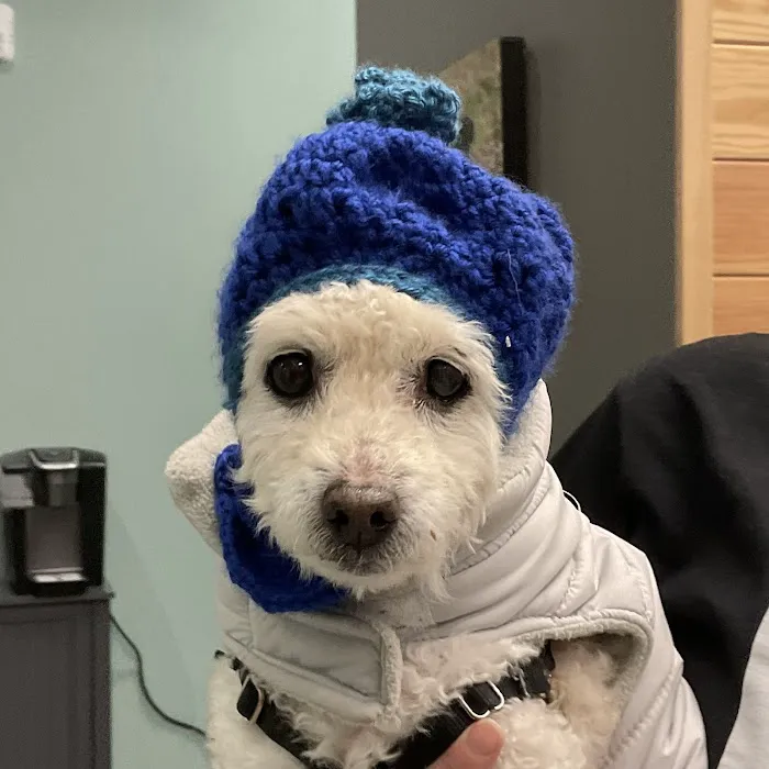 Phinney Veterinary Picture 8