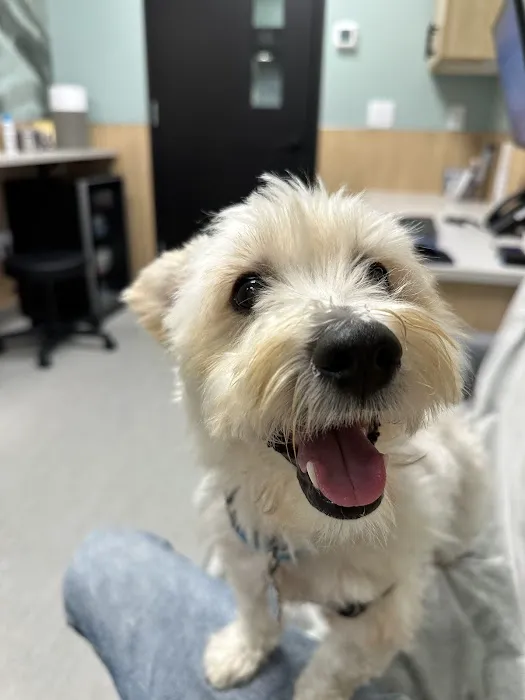 Phinney Veterinary Picture 10