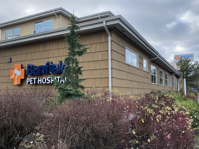 Banfield Pet Hospital Picture 9