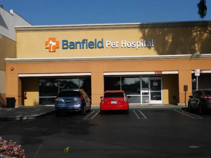 Banfield Pet Hospital Picture 1