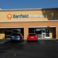 Banfield Pet Hospital ico