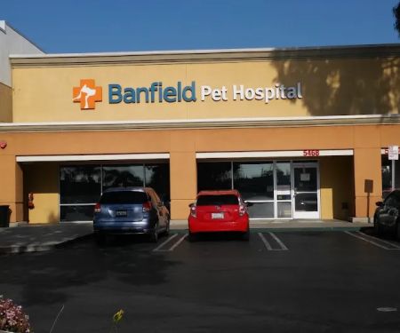 Banfield Pet Hospital