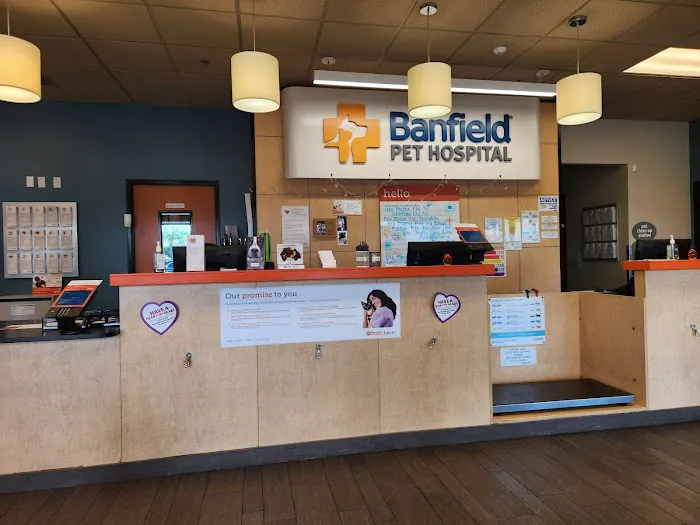 Banfield Pet Hospital Picture 4