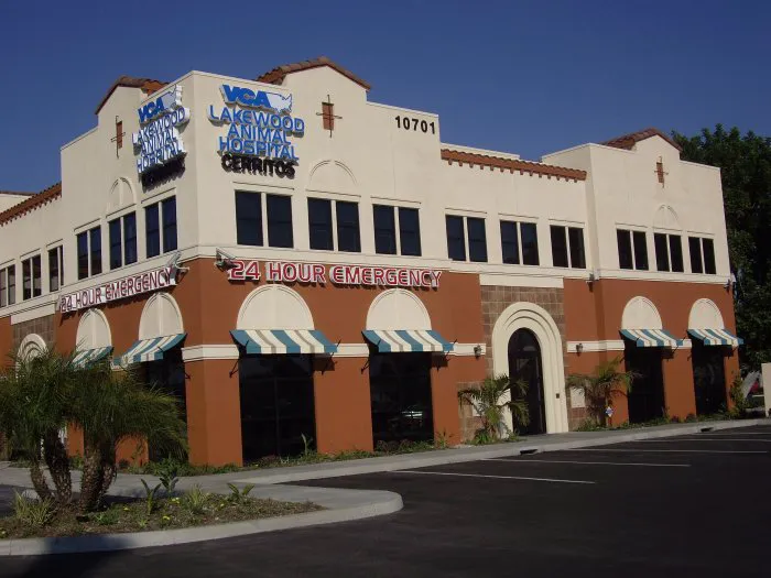 VCA Lakewood Animal Hospital Picture 2