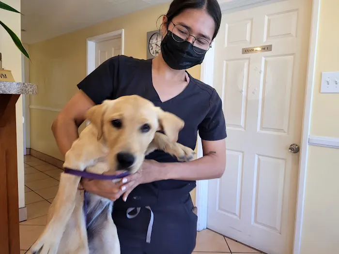 Bellflower Pet Hospital & Hotel Picture 1
