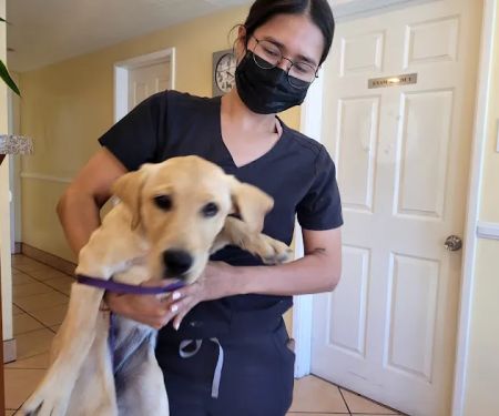 Bellflower Pet Hospital & Hotel