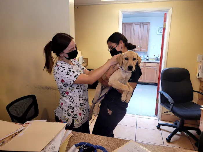 Bellflower Pet Hospital & Hotel Picture 5