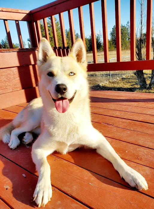 Aurora Veterinary Hospital Picture 1