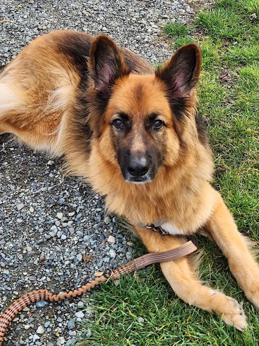 Aurora Veterinary Hospital Picture 5