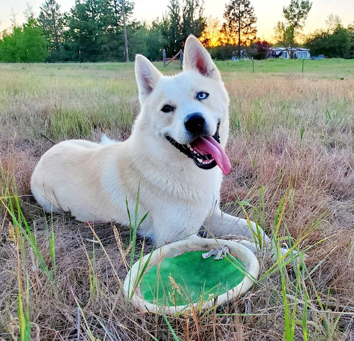 Aurora Veterinary Hospital Picture 9