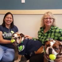 Eastside Veterinary Associates - Renton / Newcastle ico