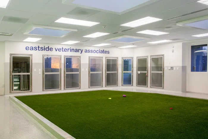 Eastside Veterinary Associates - Renton / Newcastle Picture 6