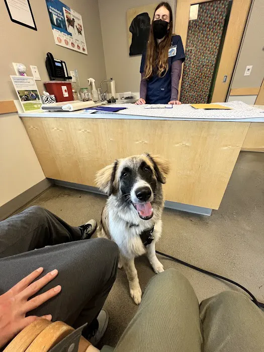 Eastside Veterinary Associates - Renton / Newcastle Picture 10