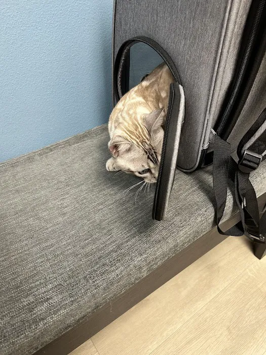 Cat Care Clinic Picture 9