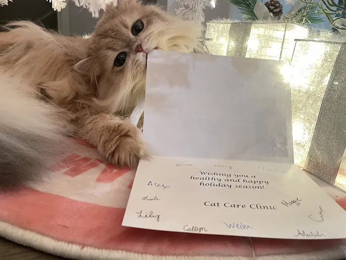 Cat Care Clinic Picture 10