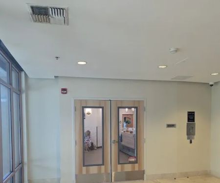 Bellevue Animal Hospital