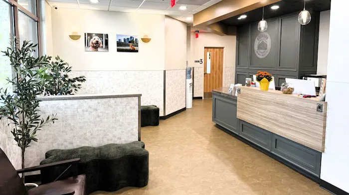 Bellevue Animal Hospital Picture 2