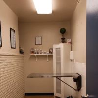 Bellevue Animal Hospital ico