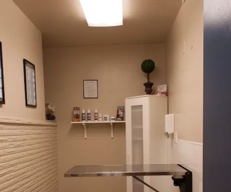 Bellevue Animal Hospital