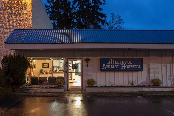 Bellevue Animal Hospital Picture 4