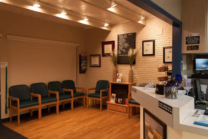 Bellevue Animal Hospital Picture 3
