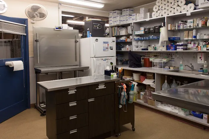 Bellevue Animal Hospital Picture 7