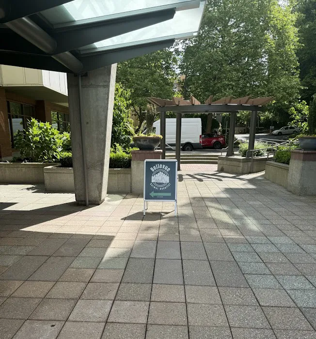 Bellevue Animal Hospital Picture 6