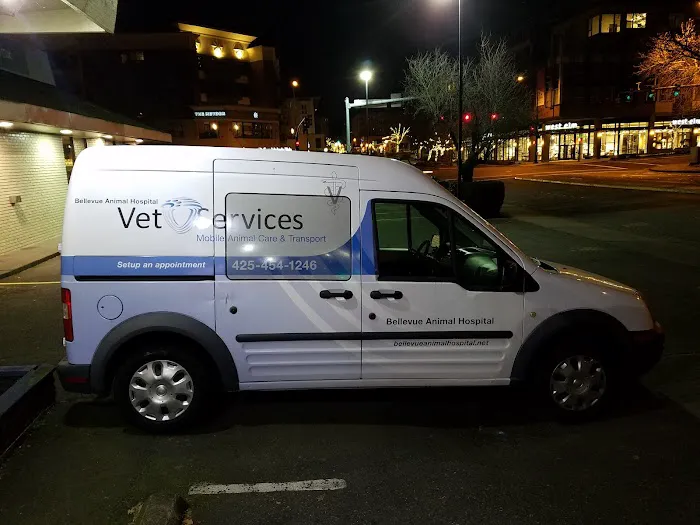 Bellevue Animal Hospital Picture 10