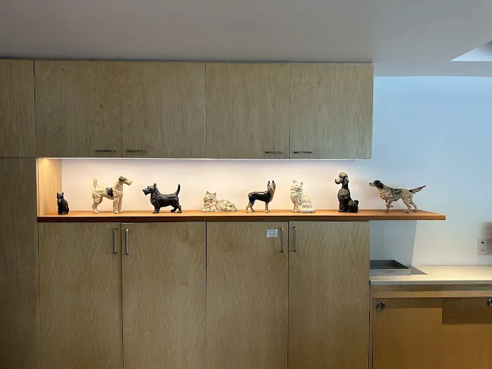 Animal Hospital of Factoria Picture 9