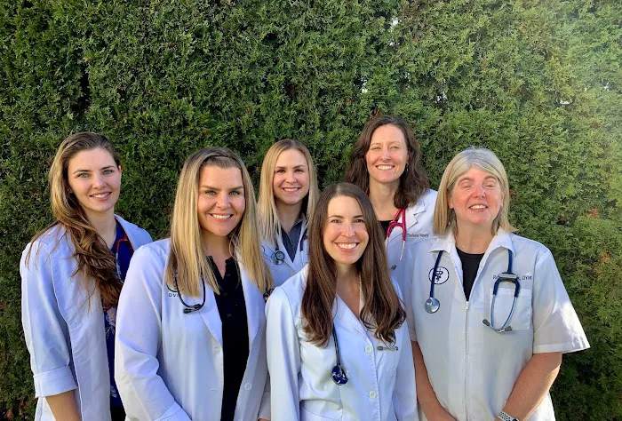 Loyal Family Veterinary Hospital Picture 1