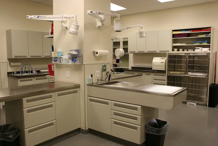 Loyal Family Veterinary Hospital Picture 3