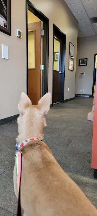 Loyal Family Veterinary Hospital Picture 4