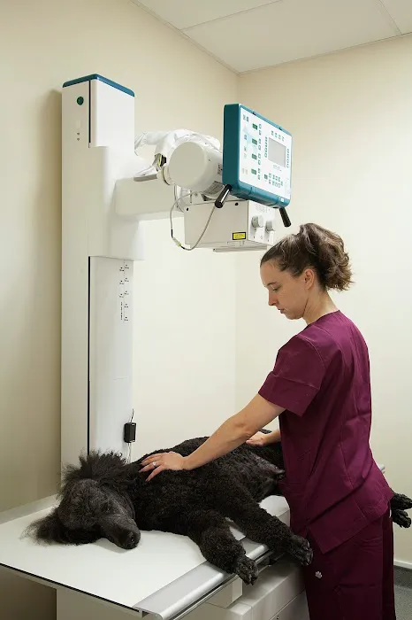 Loyal Family Veterinary Hospital Picture 9