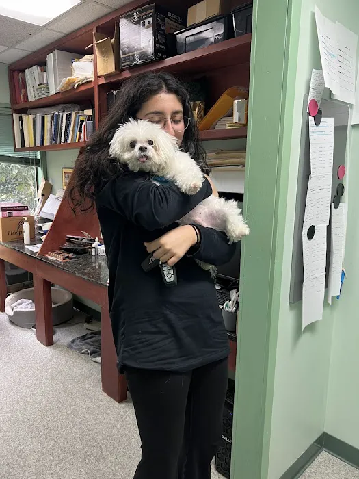 Animal Wellness and Rehabilitation Center Picture 2