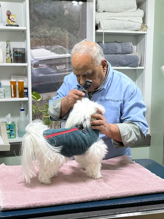 Animal Wellness and Rehabilitation Center Picture 3