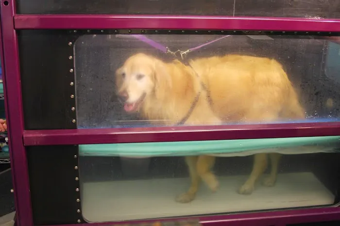 Animal Wellness and Rehabilitation Center Picture 6