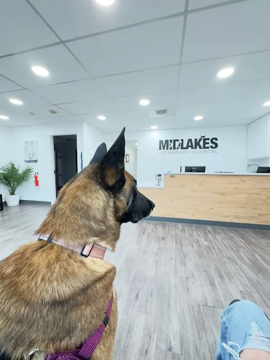 Midlakes Veterinary Hospital Picture 1