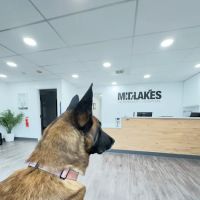 Midlakes Veterinary Hospital ico