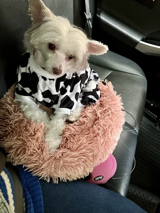 Midlakes Veterinary Hospital Picture 4
